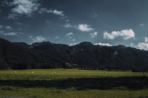 帶夏字的詩(shī)句