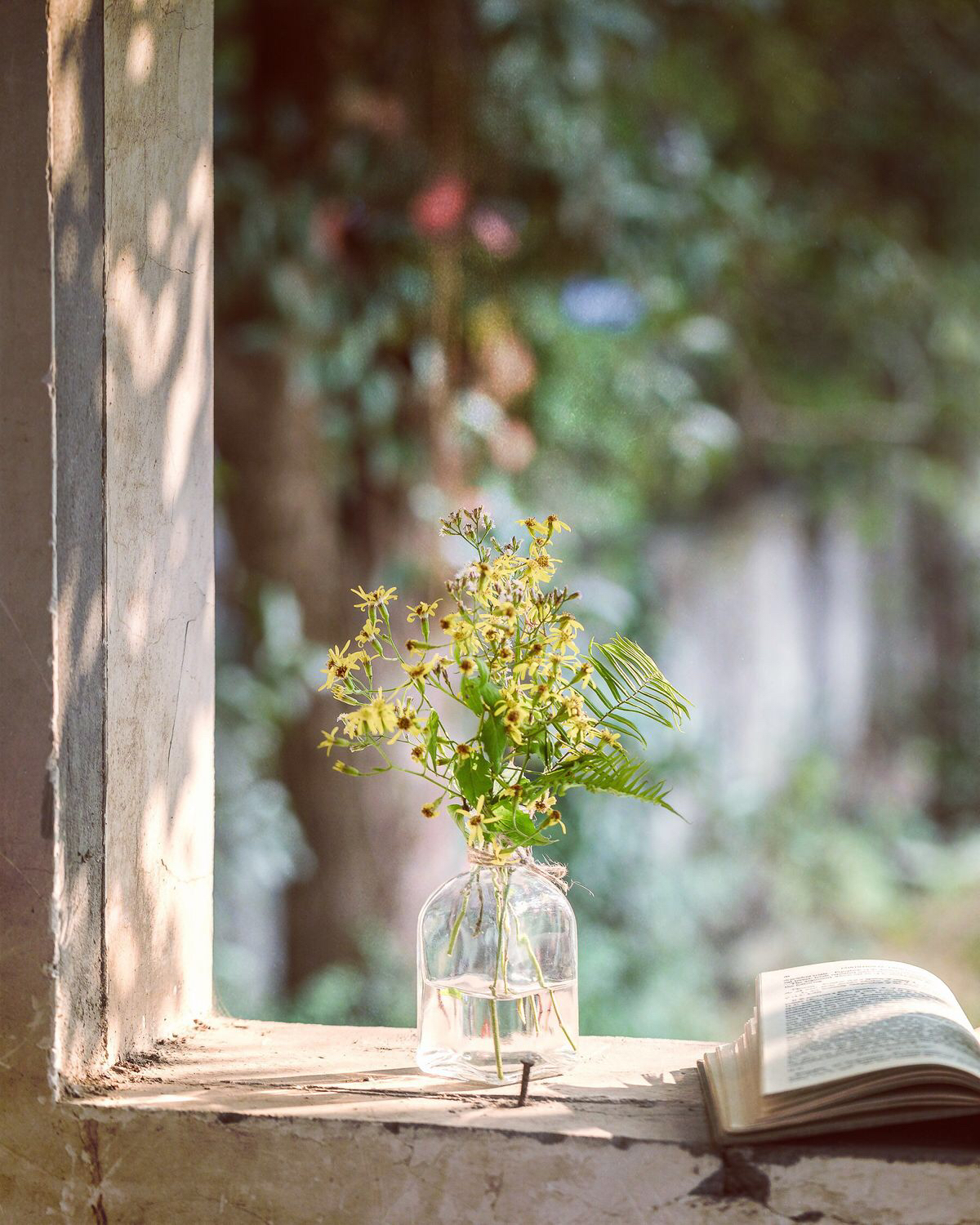 朋友圈說(shuō)說(shuō)心情短語(yǔ)  幸福或許會(huì)遲到， 但永遠(yuǎn)不會(huì)缺席