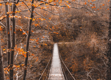 適合女生高冷帶刺的傷感說說大全