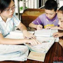 小學奧語基礎知識