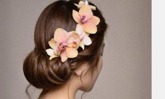 新娘盤發(fā)的基礎(chǔ)知識(shí)