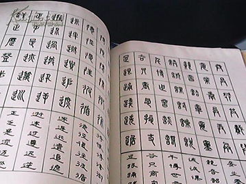 初級(jí)硬筆書(shū)法基礎(chǔ)知識(shí)
