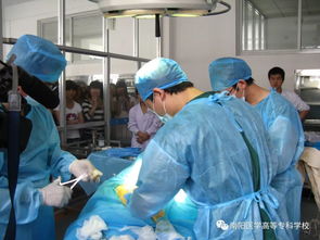 康復(fù)治療技術(shù)專業(yè)相關(guān)基礎(chǔ)知識(shí)