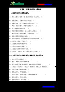 五級,基礎(chǔ)知識,專項,訓(xùn)練