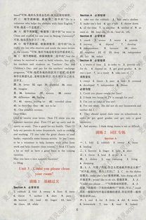 組合,英語,基礎(chǔ)知識,八級