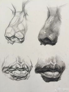 泥塑五官基礎(chǔ)知識和技巧