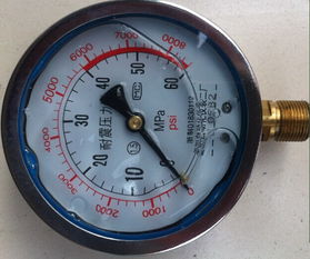 基礎(chǔ)知識,壓力儀表