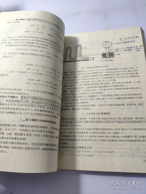 學好生物必須有化學基礎知識