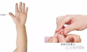 小兒推拿基礎知識理論,小兒推拿基礎知識簡介,小兒推拿基礎知識ppt