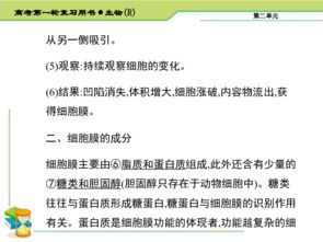 高中淘寶基礎(chǔ)知識(shí)