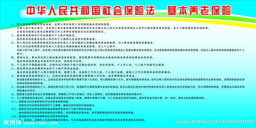 社保法2017基礎(chǔ)知識(shí)