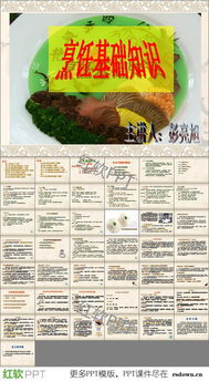 烹飪基礎(chǔ)知識(shí)pdf,西餐烹飪基礎(chǔ)知識(shí),烹飪基礎(chǔ)知識(shí)教材