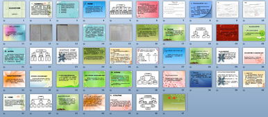 1社會(huì)保險(xiǎn)基礎(chǔ)知識(shí)