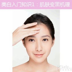 皮膚美白的基礎(chǔ)知識(shí)
