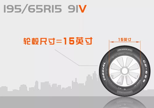 基礎(chǔ)知識,輪胎