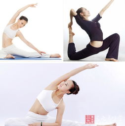 英語基礎(chǔ)知識(shí)教學(xué),炒股基礎(chǔ)知識(shí)入門教學(xué),簡(jiǎn)譜入門基礎(chǔ)知識(shí)教學(xué)