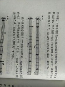 小學樂理基礎知識記號