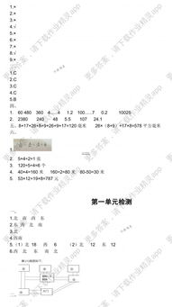 三級數(shù)學(xué)學(xué)生知識(shí)基礎(chǔ)現(xiàn)狀分析