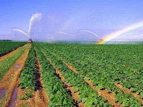 《農(nóng)村農(nóng)業(yè)基礎(chǔ)知識(shí)》