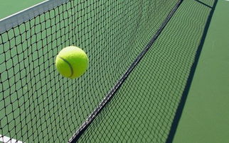 網(wǎng)球比賽規(guī)則(網(wǎng)球基礎(chǔ)知識)