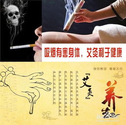 艾灸基礎(chǔ)知識譜及