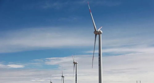 風(fēng)電基礎(chǔ)知識(shí)大全