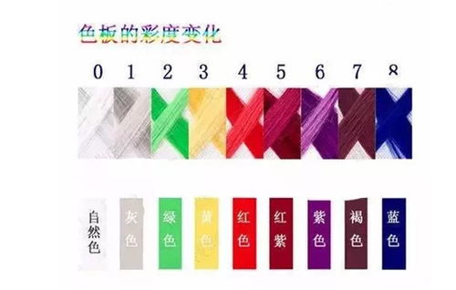 染發(fā)調(diào)色基礎(chǔ)知識(shí)