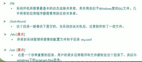 職高計算機網絡基礎知識要點,計算機基礎知識題庫,計算機基礎知識與基本操作