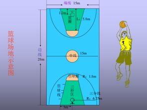 籃球基礎(chǔ)知識PPT,籃球比賽規(guī)則基礎(chǔ)知識,籃球的基礎(chǔ)知識及規(guī)則