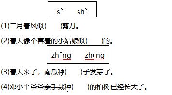 基礎(chǔ)知識(shí),訓(xùn)練