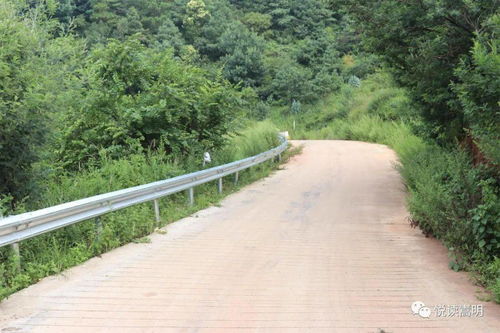 鄉(xiāng)村公路基礎(chǔ)知識