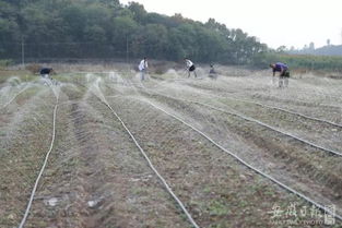 灌溉建設(shè)的基礎(chǔ)知識(shí)