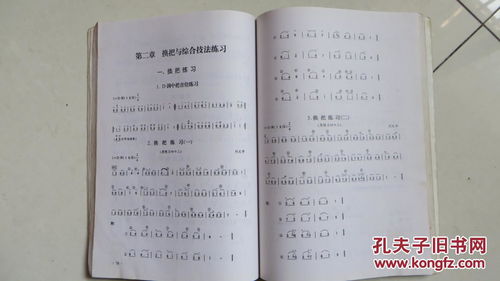 二胡的入門基礎(chǔ)知識