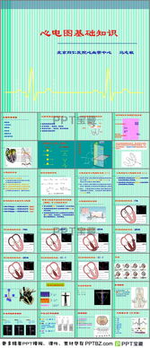 心電圖基礎(chǔ)知識ppt課件免費