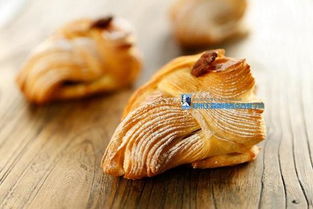 面包基礎(chǔ)知識txt