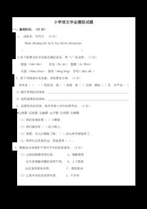 基礎知識,試卷,小學畢業(yè),語文