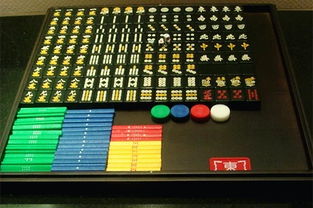 麻將基礎(chǔ)知識(shí)教程