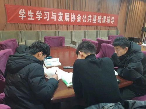 輔導(dǎo)員,基礎(chǔ)知識,大學(xué)