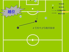 足球水位基礎知識