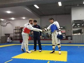 跆拳道考級基礎(chǔ)知識