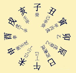 八字基礎(chǔ)知識(shí)-精華知識(shí)