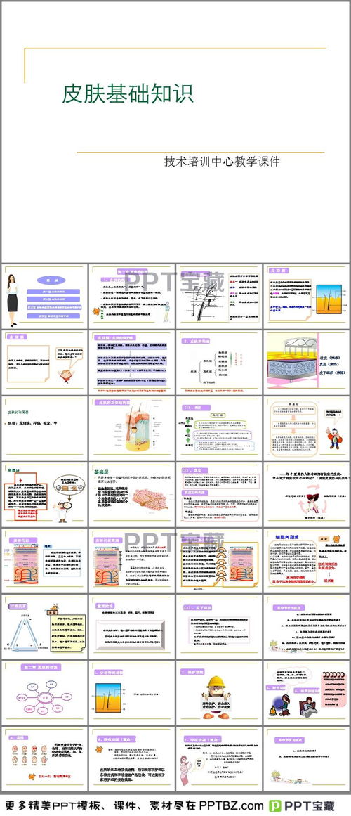 皮膚基礎(chǔ)知識(shí)培訓(xùn)教材6