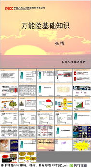 網(wǎng)頁基礎(chǔ)知識ppt